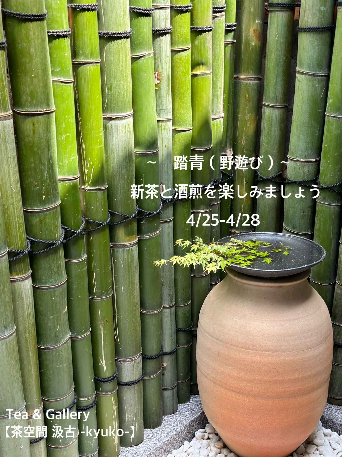 踏青（野遊び）