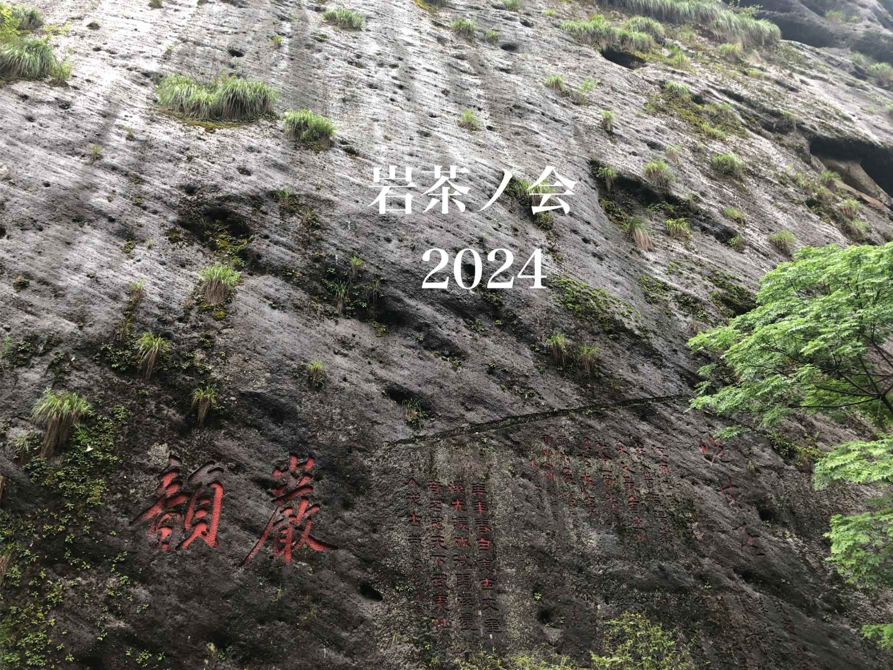岩茶ノ会2024